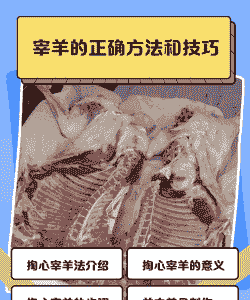 家里怎么养殖羊肉