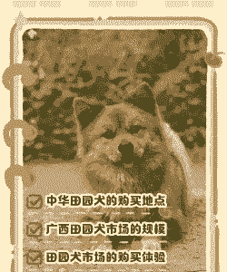 养殖土狗怎么销售