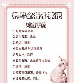 养殖鹦鹉怎么防病