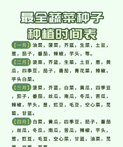 早春蔬菜怎么养殖