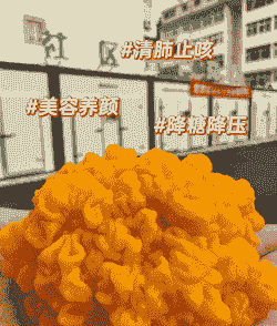 金耳怎么养殖怎么浇水