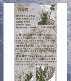 室内兰花怎么养殖