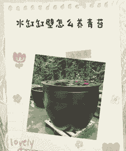 盆底青苔怎么养殖