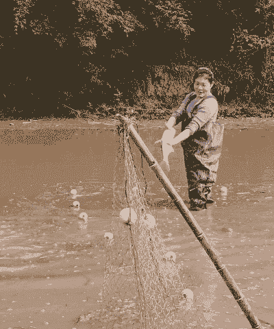 手抓鱼怎么养殖