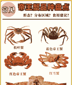 帝王蟹怎么分开养殖