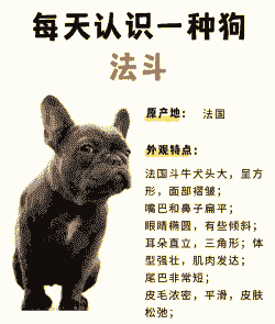 搞法斗养殖怎么搭配