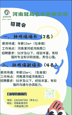 养殖招工怎么找客户