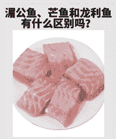 湄公鱼怎么养殖