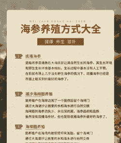 养殖海参怎么样