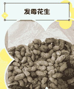花生发霉怎么养殖
