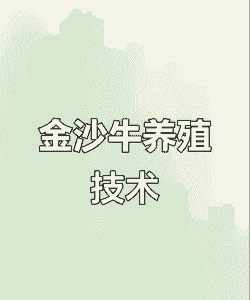 沙牛怎么养殖培训