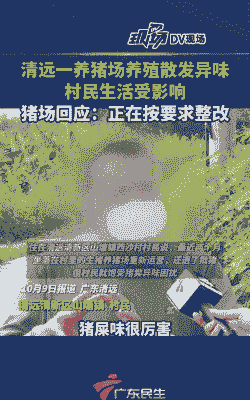 村里养殖恶臭怎么投诉