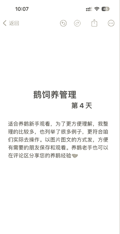 小鹅怎么养殖
