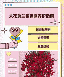 兰花怎么养殖花苞多长