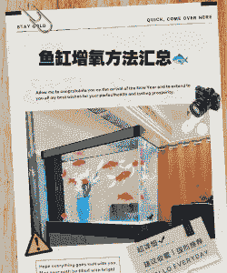 养殖鱼缸怎么打氧