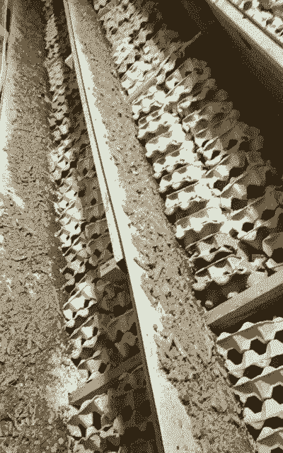 养殖蟑螂怎么回收利用