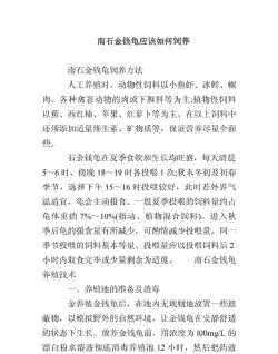 石金钱怎么养殖