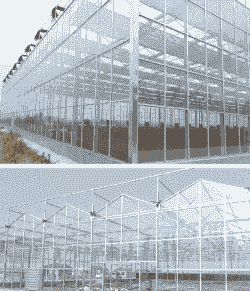 养殖大棚玻璃怎么盖