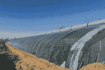 养殖大棚冬天怎么搭配