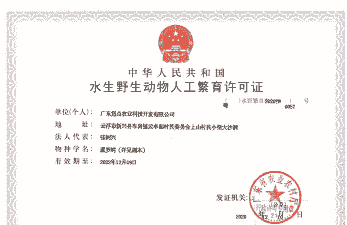 怎么申请养殖鳄鱼证