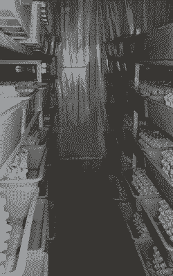 蝎子养殖怎么样