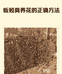 养殖粪便怎么保护庄稼