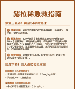 小猪拉稀拉水怎么办