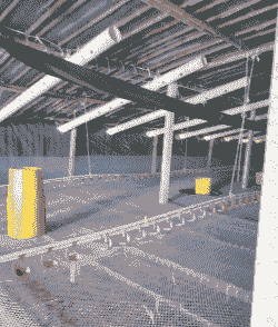 养殖大鹅大棚怎么建