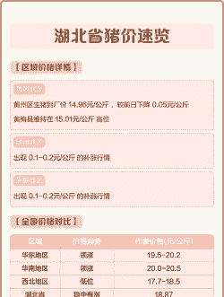 湖北猪肉价格多少