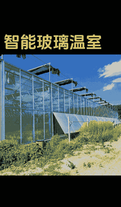 养殖大棚玻璃怎么盖住