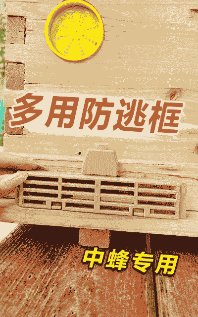 蜜蜂养殖怎么防盗的