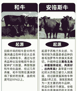 美国牛肉怎么养殖的