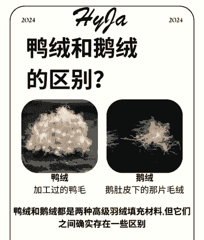 鹅绒毛怎么养殖