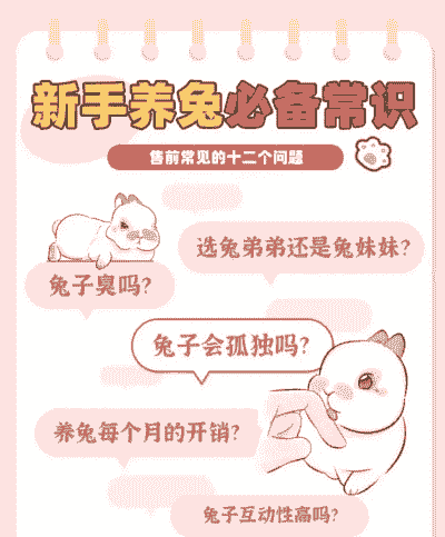 私人养殖兔子怎么养