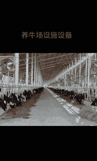 奶牛养殖基地怎么建造