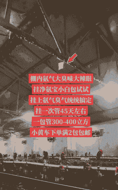 养殖场氨气太重怎么办