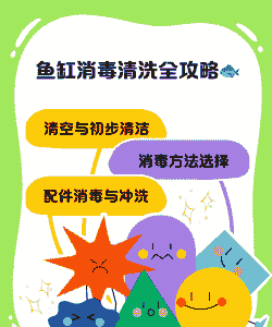 室内养殖怎么消毒房间