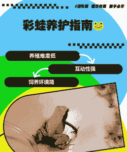 养殖蟾蜍怎么养水