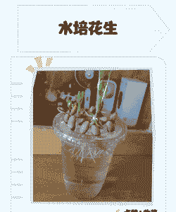 怎么在家养殖花生