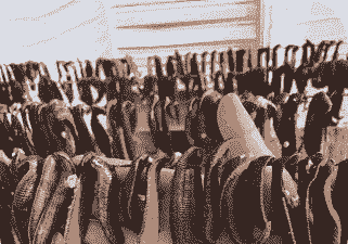 水蛭养殖怎么样