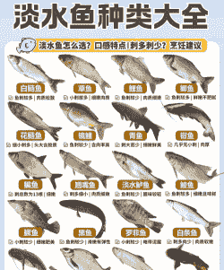 夏季养殖鲫鱼怎么选
