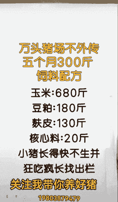 猪饲料怎么使用