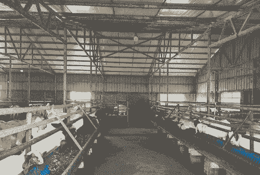 养殖羊舍怎么卖的