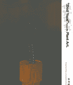 麒麟树怎么养殖