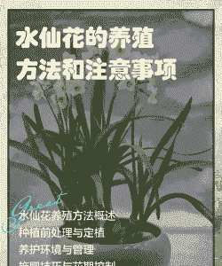 单头水仙怎么养殖