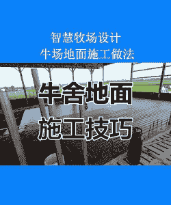 养殖的地面怎么铺