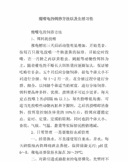 鹰嘴龟怎么养殖