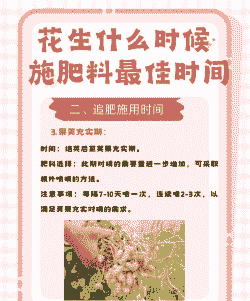 养殖花生怎么施肥好