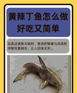 怎么养殖黄辣丁