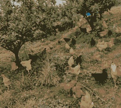 种植养殖怎么样